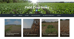 Desktop Screenshot of fieldcropnews.com